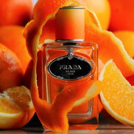 Infusion de Fleur d'Oranger - Prada