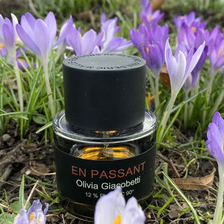 Krokusse, gesehen im Vorbeigehen