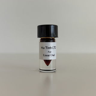 Ha Tinh LTD by Ensar Oud