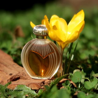 Nina (1987) (Eau de Toilette) - Nina Ricci