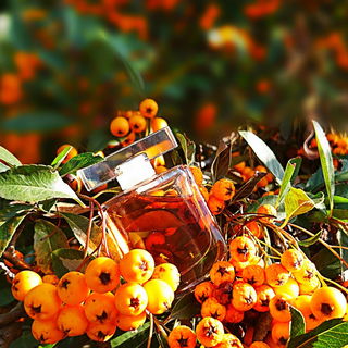 L'Instant de Guerlain (Eau de Parfum) - Guerlain