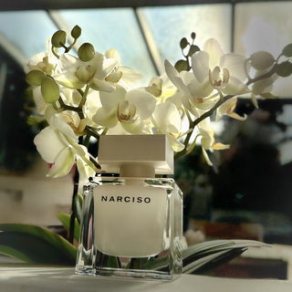 Narciso (Eau de Parfum)