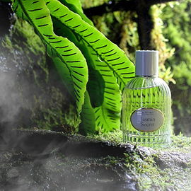 Jasmin Secret - Jeanne en Provence