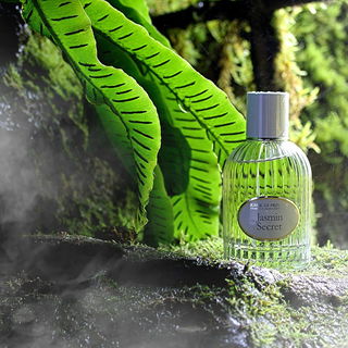 Jasmin Secret - Jeanne en Provence