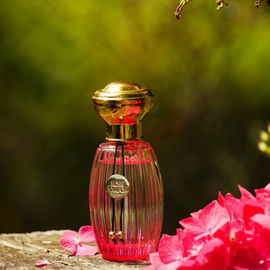 Rose Pompon (Eau de Toilette) - Goutal