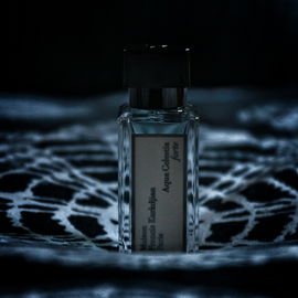 Aqua Celestia Forte - Maison Francis Kurkdjian