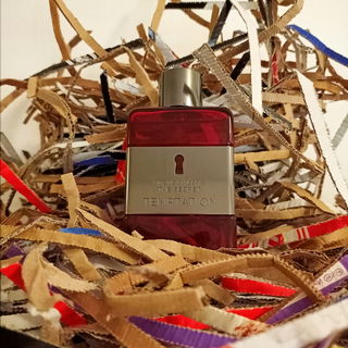 Power of Seduction - Banderas