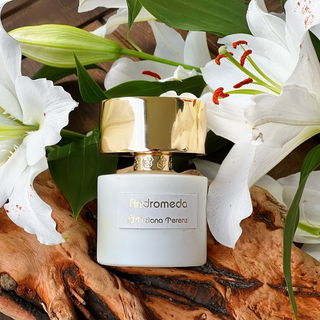 Andromeda (Extrait de Parfum) von Tiziana Terenzi