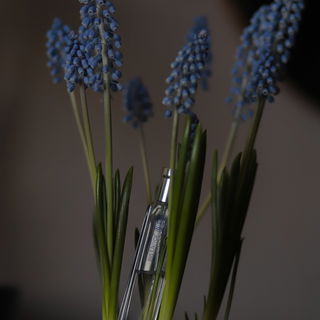 Iris Ukiyoé - Hermès