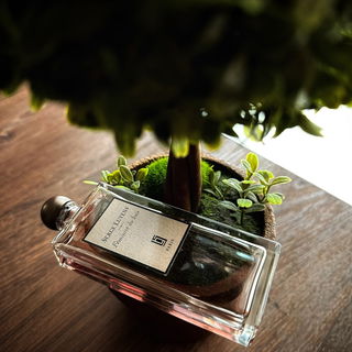 Féminité du bois by Serge Lutens