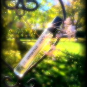 Hinter den sieben Koniferen # moosig/zitrische Wege # Der Wald hinter dem Wald # Die Zink/Kampfer Wanne dampft # Das Ingwer/Holz vor der Hütte (von Seejungfrau)