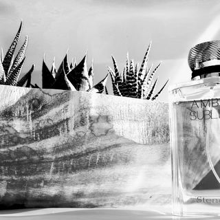 Ambre Sublime - Stendhal