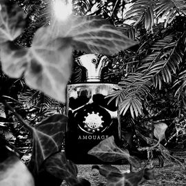 Memoir Man - Amouage