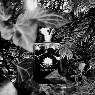 Memoir Man - Amouage