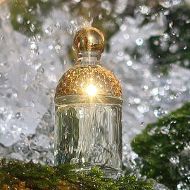 Aqua Allegoria Bergamote Calabria - Guerlain