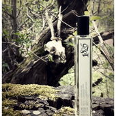 scharfes Moos (by UntermWert)