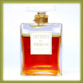 Cattleya - Renoir