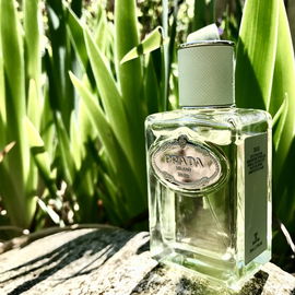 Infusion d'Iris (Eau de Parfum) (2007) - Prada