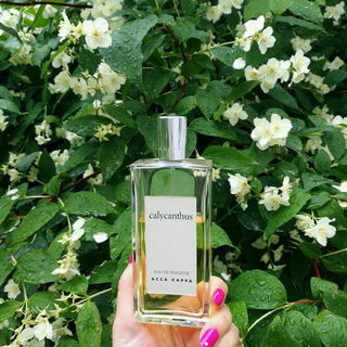 von MissGuerlain