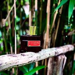 …📷🌍 Thank you. Danke schön. Merci beaucoup. Muchas gracias. Dōmo arigatō gozaimasu 💐…