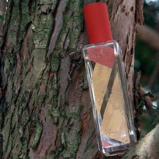 Whisky & Cedarwood von Jo Malone