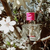 Ganz lieben Dank für Eure Fotokommentare 💖 ich freue mich sehr über jeden (by Bille74)