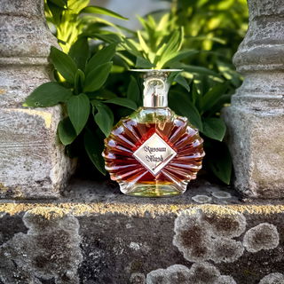 Russian Musk II - Areej Le Doré