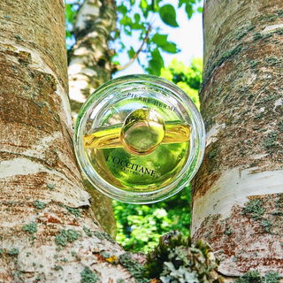 Alles eine Frage der Perspektive 🌳🌿 Danke für Eure schönen Besuche 🥰