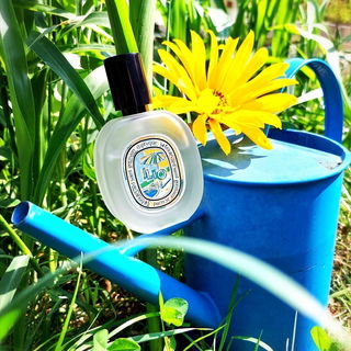 ... die letzten Sommertage genießen ☀️... ich wünsche euch einen schönen sonnigen Tag💛