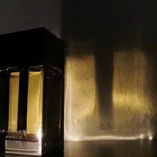 Dior Homme Intense (2011) von Dior