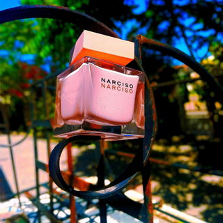 Narciso (Eau de Parfum Poudrée) - Narciso Rodriguez