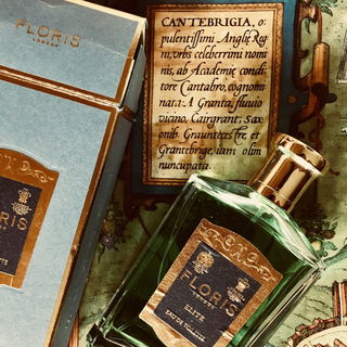 Rosa Novella - Santa Maria Novella
