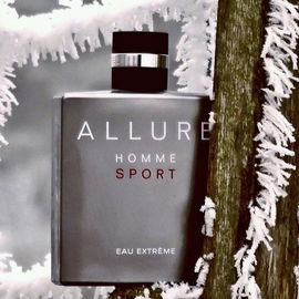 Ein Hag im Winter.