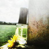 Der Grashalm.Leben findet den Weg # Wasser nährt Wurzel > nährt Baum # Sonnen-Glitzer-Spiegel-Fluten #      Nymphaeas Fangarme.Luftgefüllt.Schlammumhüllt. (by Seejungfrau)