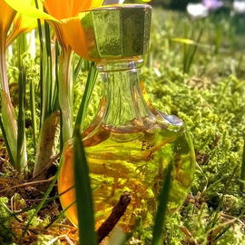 da wäre ich gerne ein 🐝chen oder ein 🦋