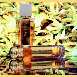 My Ylang - Caron
