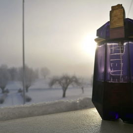 Untold Absolu - Elizabeth Arden
