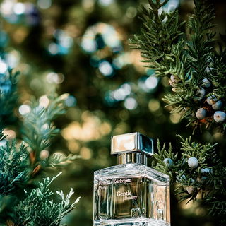 Gentle Fluidity (Silver) - Maison Francis Kurkdjian