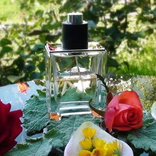 Terre d'Hermès (Parfum) by Hermès