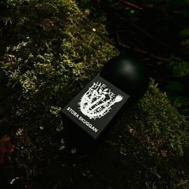 Hexensalbe - Stora Skuggan