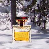 Der schöne Duft wärmt in kalten Zeiten .... (von MadameLegras)