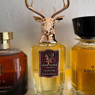 Orchestra - Pana Dora