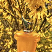 Vielen Dank! 🤩 (by Rinana)