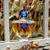 ***Shalimars Herbstausflug - Herzlichen Dank fürs Vorbeischnüffeln 🥰*** (by Zimtschnecke)