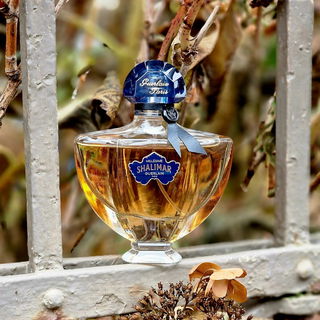 ***Shalimars Herbstausflug - Herzlichen Dank fürs Vorbeischnüffeln 🥰***