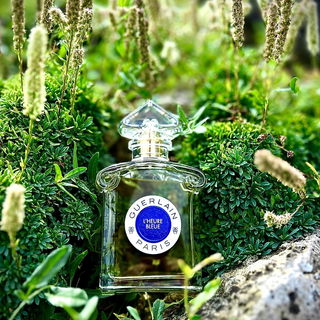…📷🌍 Thank you. Danke schön. Merci beaucoup. Muchas gracias. Dōmo arigatō gozaimasu 💐…