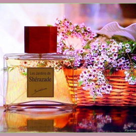 Les Jardins de Shérazade - Benchaâbane / Les Parfums du Soleil