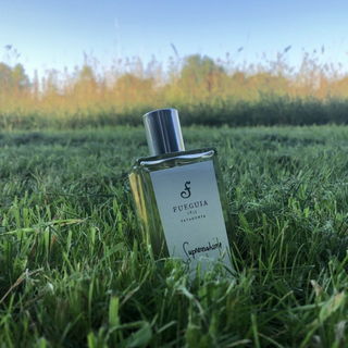 Suprematisme by Fueguia 1833