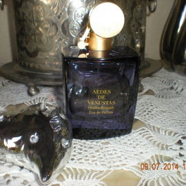 Œillet Bengale - Aedes de Venustas