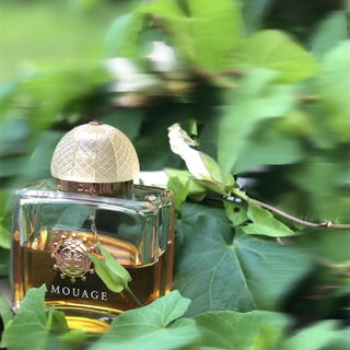 Dia Woman (Extrait de Parfum) - Amouage